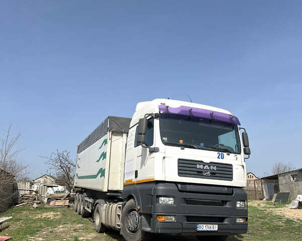 Белый МАН ТГА, объемом двигателя 11 л и пробегом 260 тыс. км за 30000 $, фото 1 на Automoto.ua