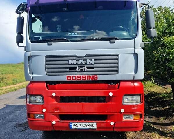 Сірий МАН TGA, об'ємом двигуна 10.5 л та пробігом 1 тис. км за 14144 $, фото 1 на Automoto.ua