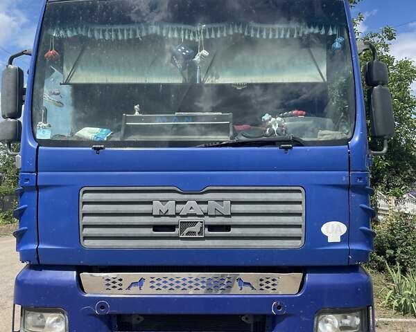 Синий МАН ТГА, объемом двигателя 12.8 л и пробегом 2 тыс. км за 20000 $, фото 1 на Automoto.ua