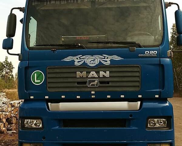 Синий МАН ТГА, объемом двигателя 10.52 л и пробегом 300 тыс. км за 10000 $, фото 1 на Automoto.ua