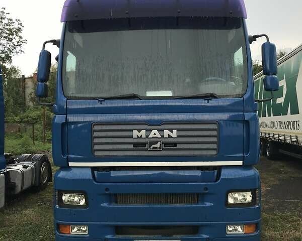 Синий МАН ТГА, объемом двигателя 10.5 л и пробегом 900 тыс. км за 9200 $, фото 1 на Automoto.ua