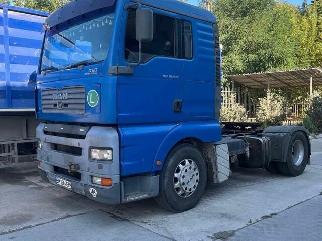 Синій МАН TGA, об'ємом двигуна 10.52 л та пробігом 970 тис. км за 6000 $, фото 1 на Automoto.ua