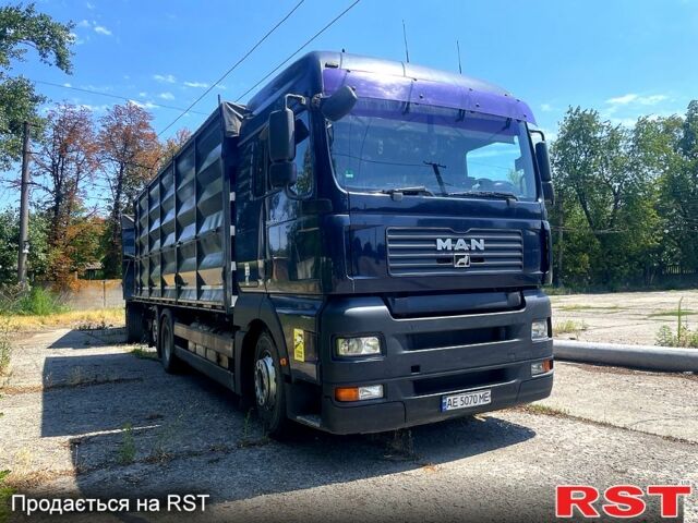 Синий МАН ТГА, объемом двигателя 10.5 л и пробегом 958 тыс. км за 21000 $, фото 1 на Automoto.ua