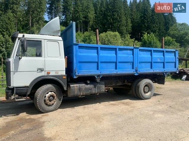 МАЗ 53366, объемом двигателя 14.9 л и пробегом 308 тыс. км за 10000 $, фото 1 на Automoto.ua