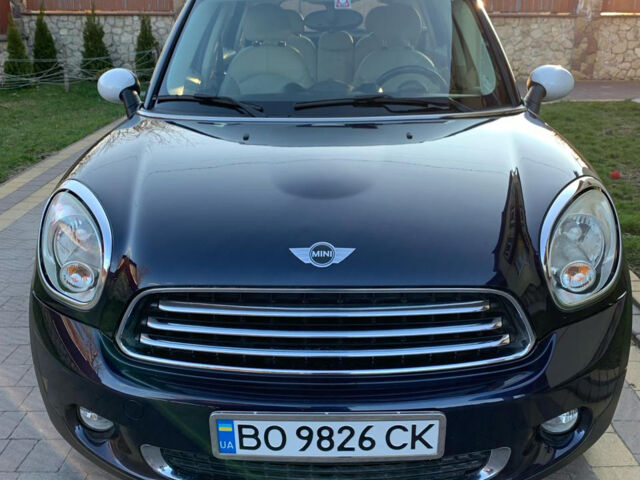 Синій Міні Кантрімен, об'ємом двигуна 1.6 л та пробігом 213 тис. км за 9400 $, фото 1 на Automoto.ua