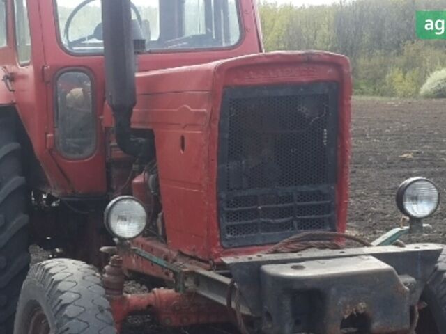 МТЗ 50 Білорус, об'ємом двигуна 4.75 л та пробігом 0 тис. км за 3000 $, фото 1 на Automoto.ua