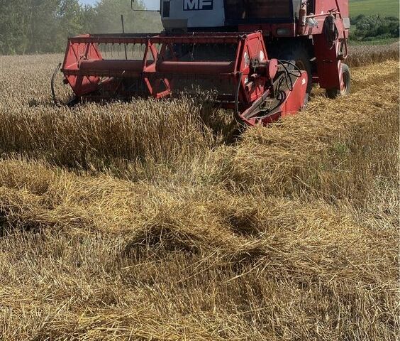 Массей Фергюсон Другая, объемом двигателя 0.6 л и пробегом 0 тыс. км за 5500 $, фото 1 на Automoto.ua