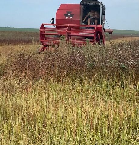Массей Фергюсон Другая, объемом двигателя 4 л и пробегом 3 тыс. км за 14800 $, фото 1 на Automoto.ua