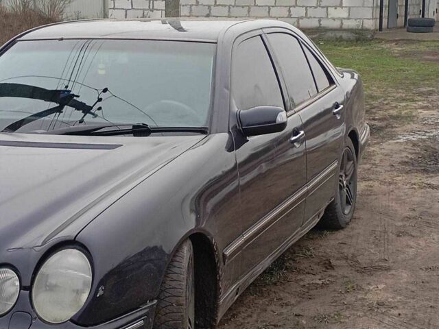 Фиолетовый Мерседес 220, объемом двигателя 2.6 л и пробегом 403 тыс. км за 3200 $, фото 1 на Automoto.ua