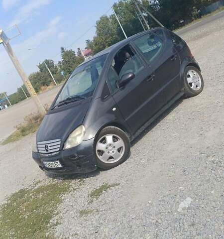 Мерседес А класс 2000 в Черткове на Automoto.ua Серый Мерседес А класс, объемом двигателя 1.7 л и пробегом 230 тыс. км за 3250 $, фото 1 на Automoto.ua