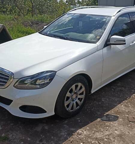 Белый Мерседес Е-Класс, объемом двигателя 2.2 л и пробегом 360 тыс. км за 14000 $, фото 1 на Automoto.ua