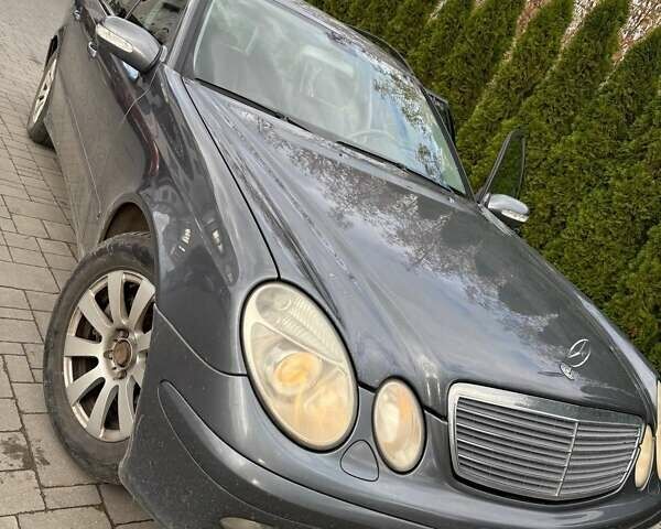 Мерседес Е-Клас 2005 у Галиче на Automoto.ua Сірий Мерседес Е-Клас, об'ємом двигуна 1.8 л та пробігом 319 тис. км за 5200 $, фото 1 на Automoto.ua