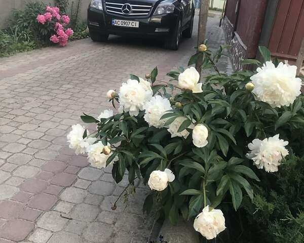 Черный Мерседес ГЛК-Класс, объемом двигателя 2.2 л и пробегом 249 тыс. км за 14800 $, фото 1 на Automoto.ua