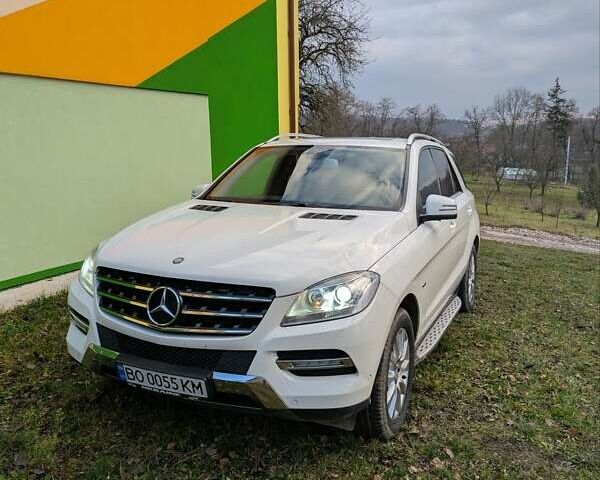 Белый Мерседес М-Класс, объемом двигателя 2.14 л и пробегом 200 тыс. км за 19800 $, фото 1 на Automoto.ua