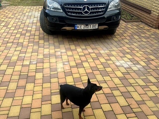 Черный Мерседес МЛ класс, объемом двигателя 3.5 л и пробегом 284 тыс. км за 8900 $, фото 1 на Automoto.ua