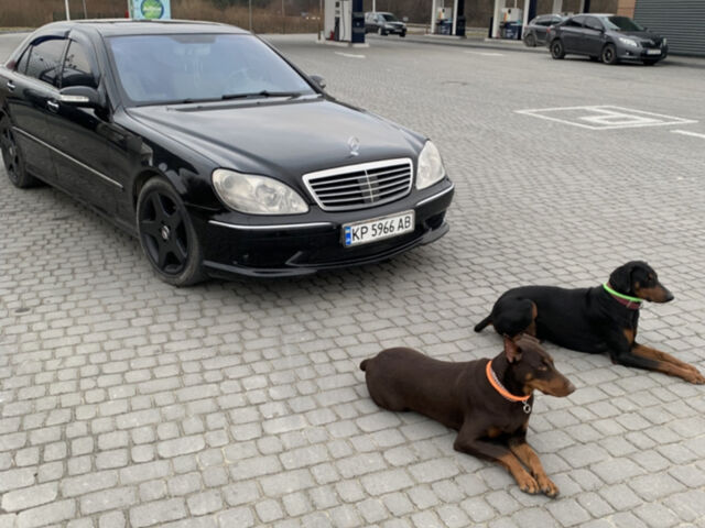 Чорний Мерседес С Клас, об'ємом двигуна 4.97 л та пробігом 340 тис. км за 6500 $, фото 1 на Automoto.ua