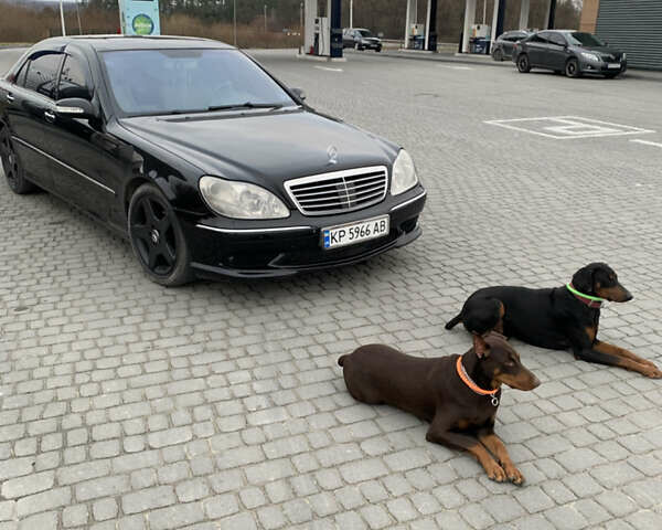 Черный Мерседес С Класс, объемом двигателя 4.97 л и пробегом 340 тыс. км за 7000 $, фото 1 на Automoto.ua