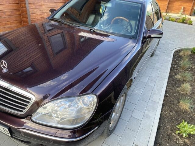 Фіолетовий Мерседес С Клас, об'ємом двигуна 5 л та пробігом 245 тис. км за 5122 $, фото 1 на Automoto.ua
