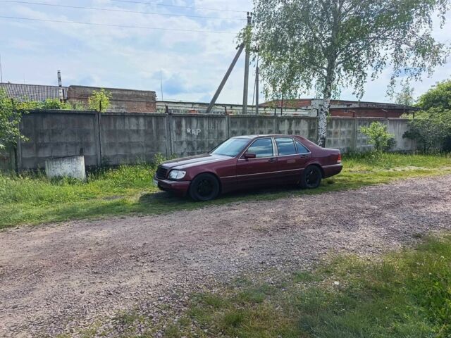 Красный Мерседес С Класс, объемом двигателя 5 л и пробегом 230 тыс. км за 4200 $, фото 1 на Automoto.ua