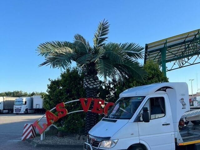 Білий Мерседес Sprinter, об'ємом двигуна 2.15 л та пробігом 6 тис. км за 10500 $, фото 1 на Automoto.ua