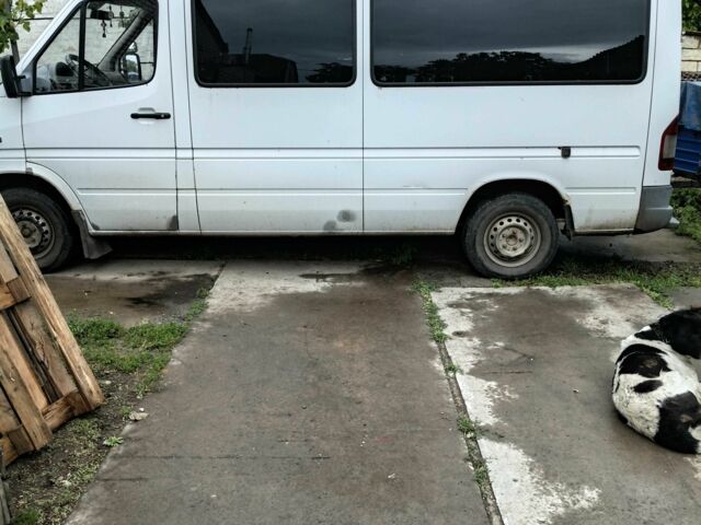 Белый Мерседес Sprinter, объемом двигателя 2.2 л и пробегом 467 тыс. км за 5500 $, фото 1 на Automoto.ua