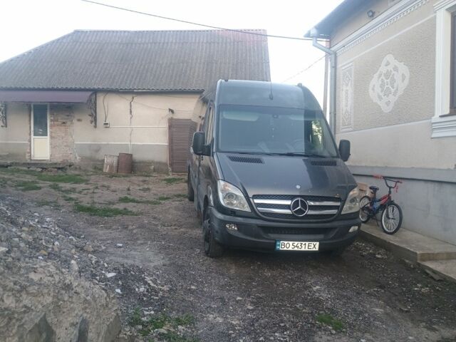Серый Мерседес Sprinter, объемом двигателя 3 л и пробегом 260 тыс. км за 23000 $, фото 1 на Automoto.ua