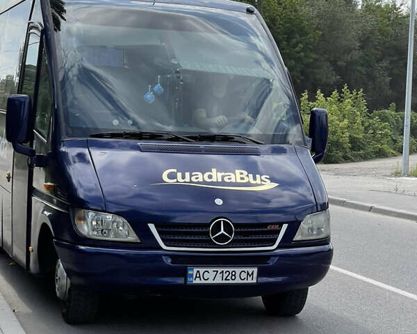 Синий Мерседес Sprinter, объемом двигателя 2.69 л и пробегом 560 тыс. км за 35000 $, фото 1 на Automoto.ua