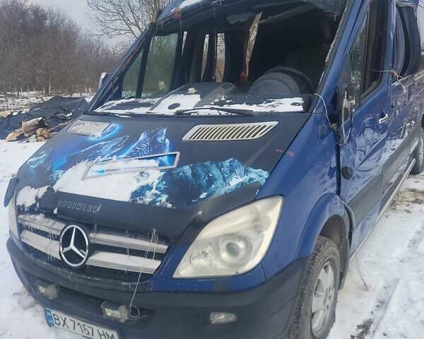 Синий Мерседес Sprinter, объемом двигателя 2.9 л и пробегом 250 тыс. км за 9296 $, фото 1 на Automoto.ua
