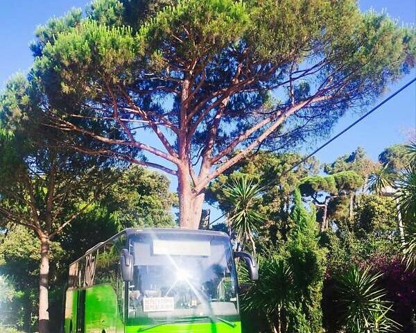 Зеленый Мерседес Туризмо, объемом двигателя 11.97 л и пробегом 1000 тыс. км за 122000 $, фото 1 на Automoto.ua