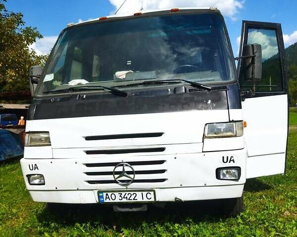 Мерседес Варіо, об'ємом двигуна 4 л та пробігом 800 тис. км за 5500 $, фото 1 на Automoto.ua