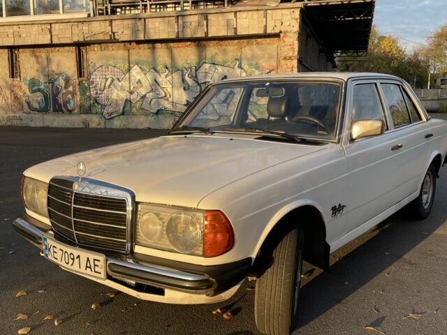 Мерседес В123 1980 в Днепре (Днепропетровске) на Automoto.ua Белый Мерседес В123, объемом двигателя 2 л и пробегом 3 тыс. км за 2900 $, фото 1 на Automoto.ua