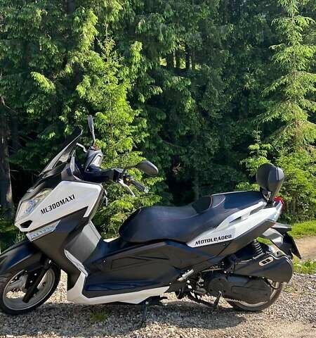 Білий Мотo-Лідєр ML 300, об'ємом двигуна 0 л та пробігом 290 тис. км за 1800 $, фото 1 на Automoto.ua