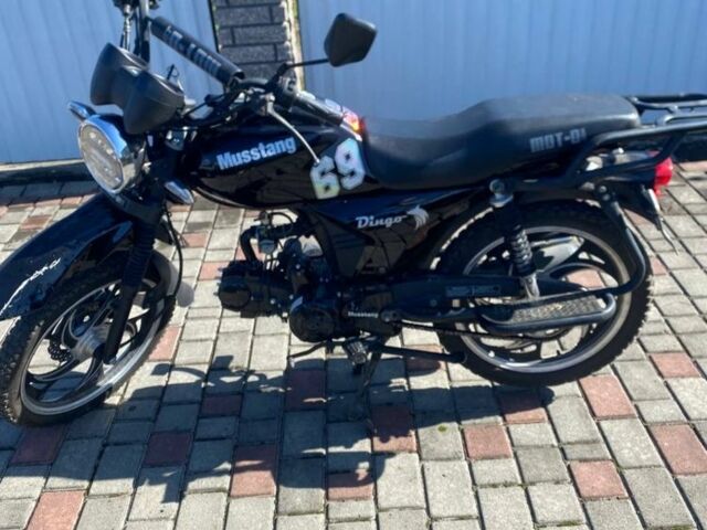 Мустанг Dingo, об'ємом двигуна 0 л та пробігом 0 тис. км за 534 $, фото 1 на Automoto.ua