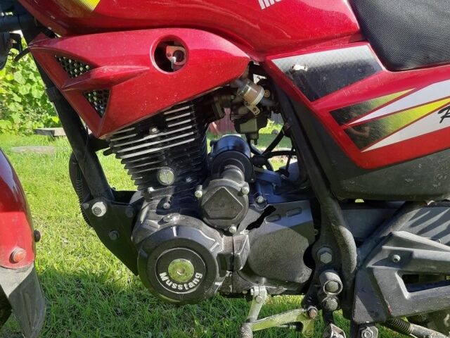 Мустанг Другая 2020 в Камень-Каширский на Automoto.ua Мустанг Другая, объемом двигателя 0.15 л и пробегом 0 тыс. км за 740 $, фото 1 на Automoto.ua