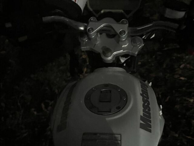 Мустанг Другая, объемом двигателя 0.2 л и пробегом 0 тыс. км за 1191 $, фото 1 на Automoto.ua