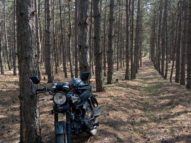 Мустанг Другая, объемом двигателя 0.12 л и пробегом 0 тыс. км за 475 $, фото 1 на Automoto.ua