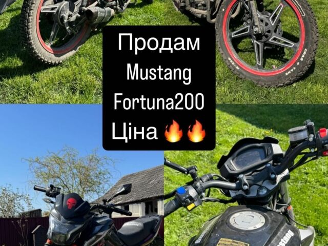 Мустанг Другая, объемом двигателя 0.2 л и пробегом 0 тыс. км за 700 $, фото 1 на Automoto.ua