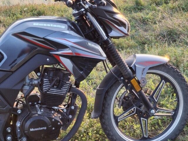 Мустанг Другая, объемом двигателя 0.2 л и пробегом 0 тыс. км за 924 $, фото 1 на Automoto.ua