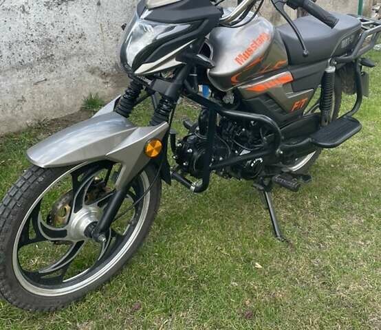 Серый Мустанг MT 125-8, объемом двигателя 0.12 л и пробегом 3 тыс. км за 720 $, фото 1 на Automoto.ua
