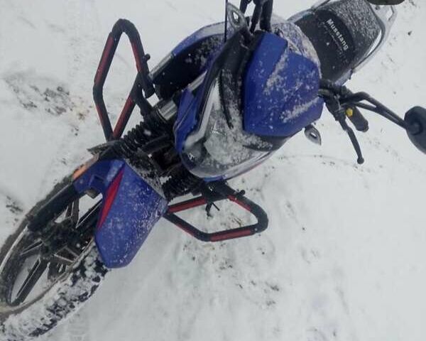 Синий Мустанг MT 200-7, объемом двигателя 0.02 л и пробегом 2 тыс. км за 1000 $, фото 1 на Automoto.ua