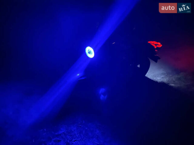 Серый Мустанг Viking, объемом двигателя 0 л и пробегом 8 тыс. км за 593 $, фото 1 на Automoto.ua