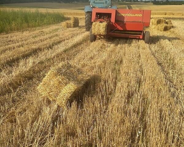 Червоний Нью Холланд 276, об'ємом двигуна 0 л та пробігом 100 тис. км за 2100 $, фото 1 на Automoto.ua