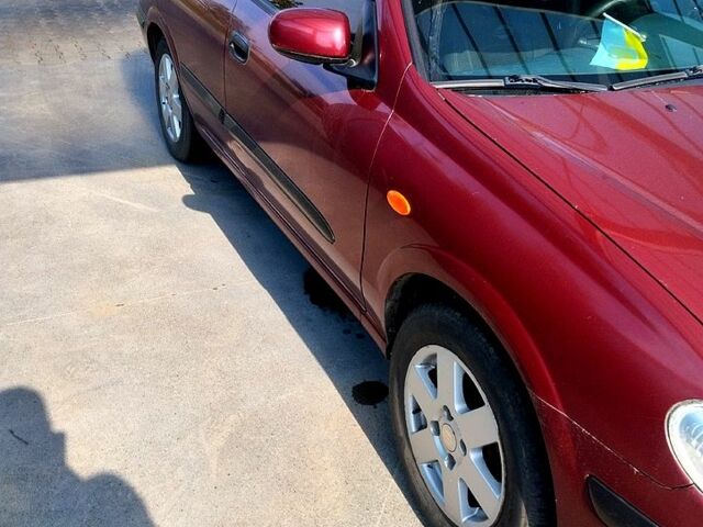 Красный Ниссан Альмера, объемом двигателя 1.5 л и пробегом 320 тыс. км за 3000 $, фото 1 на Automoto.ua