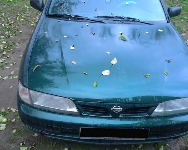 Синий Ниссан Альмера, объемом двигателя 1.4 л и пробегом 210 тыс. км за 1650 $, фото 1 на Automoto.ua