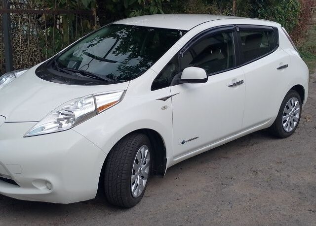 Білий Ніссан Ліф, об'ємом двигуна 0 л та пробігом 175 тис. км за 13300 $, фото 1 на Automoto.ua