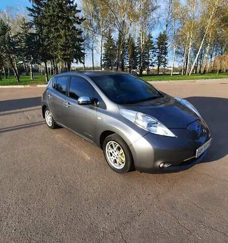 Серый Ниссан Лиф, объемом двигателя 0 л и пробегом 163 тыс. км за 7300 $, фото 1 на Automoto.ua