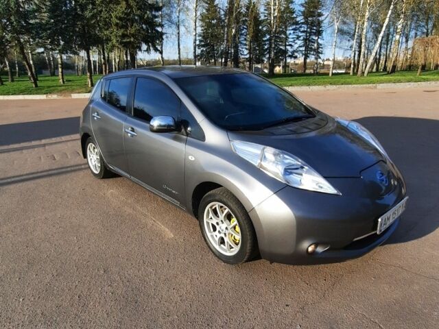 Серый Ниссан Лиф, объемом двигателя 0 л и пробегом 163 тыс. км за 6100 $, фото 1 на Automoto.ua