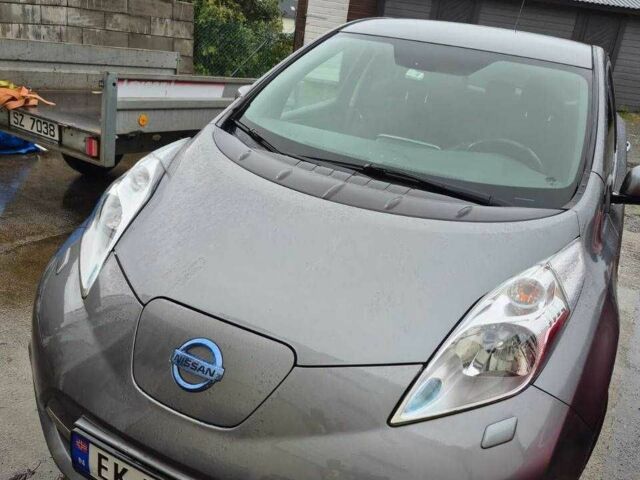 Серый Ниссан Лиф, объемом двигателя 0 л и пробегом 111 тыс. км за 7800 $, фото 1 на Automoto.ua