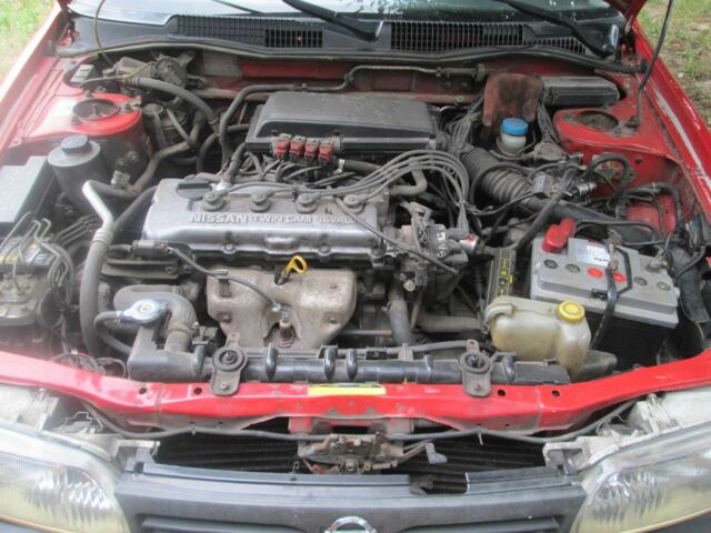 Красный Ниссан Примера, объемом двигателя 1.6 л и пробегом 300 тыс. км за 1000 $, фото 1 на Automoto.ua