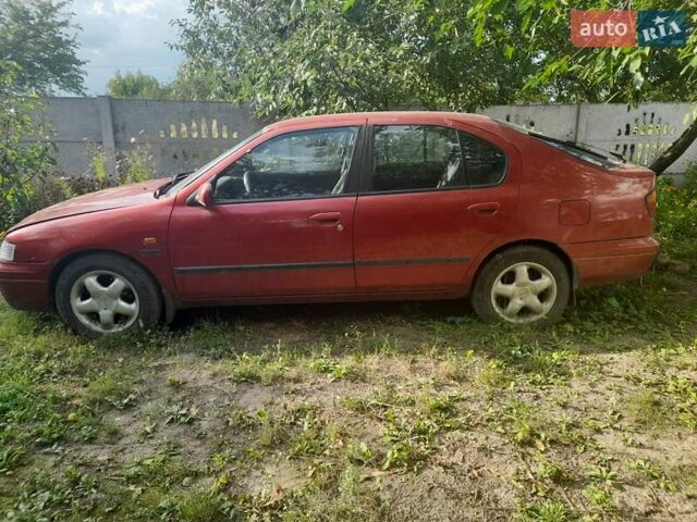 Красный Ниссан Примера, объемом двигателя 1.6 л и пробегом 272 тыс. км за 1500 $, фото 1 на Automoto.ua